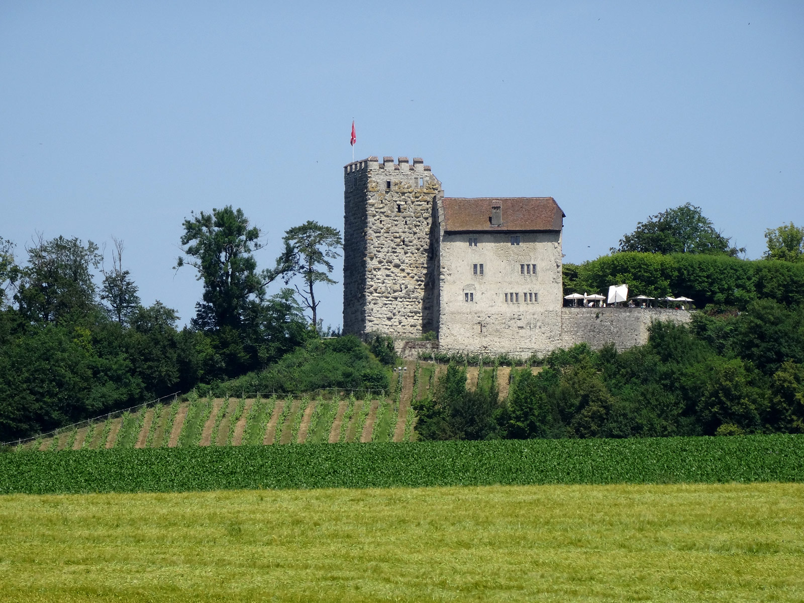 Habsburg Castle